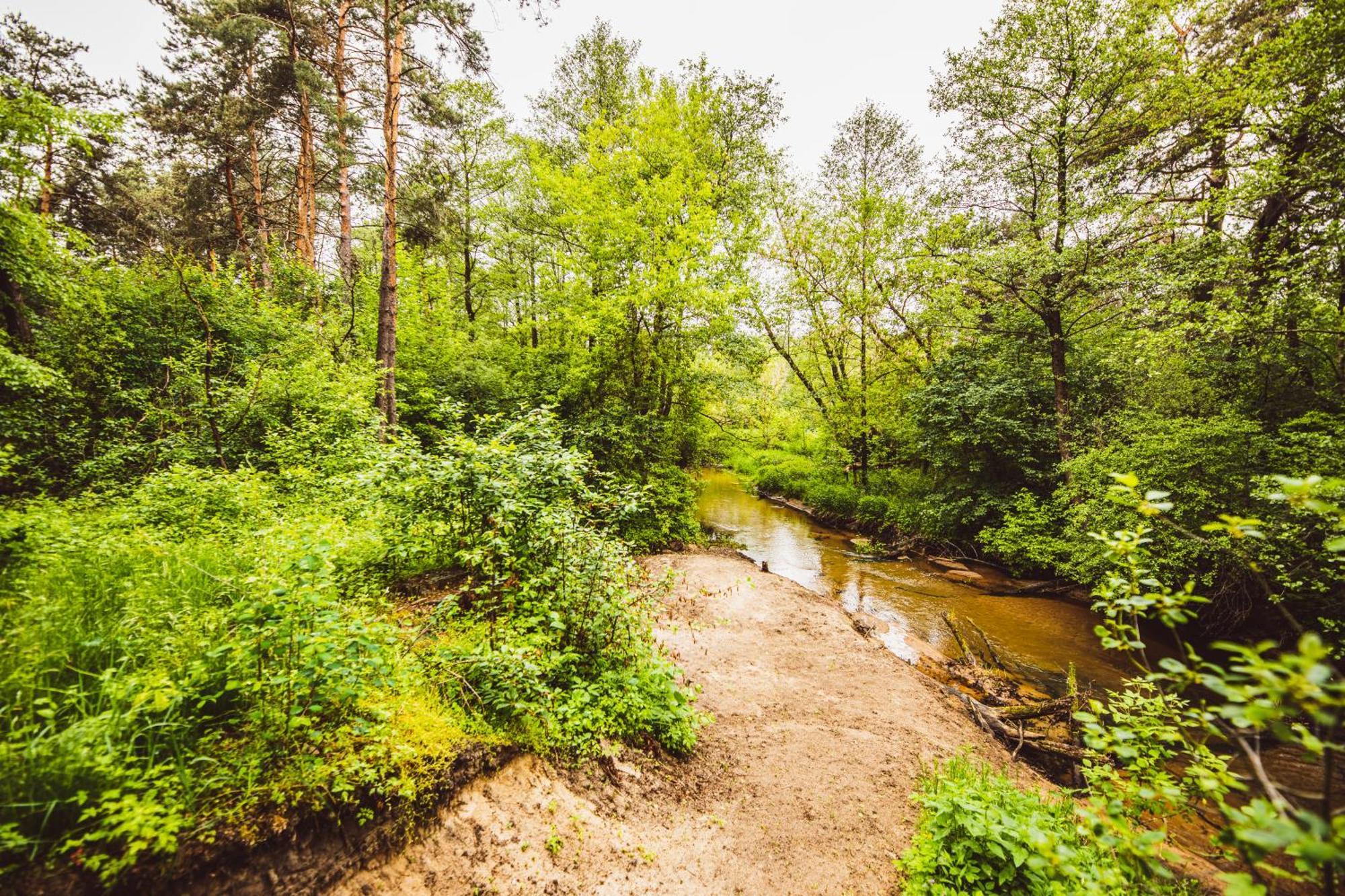 Cozy Nature Retreat With Patio Fireplace Garden Maciejowice Εξωτερικό φωτογραφία