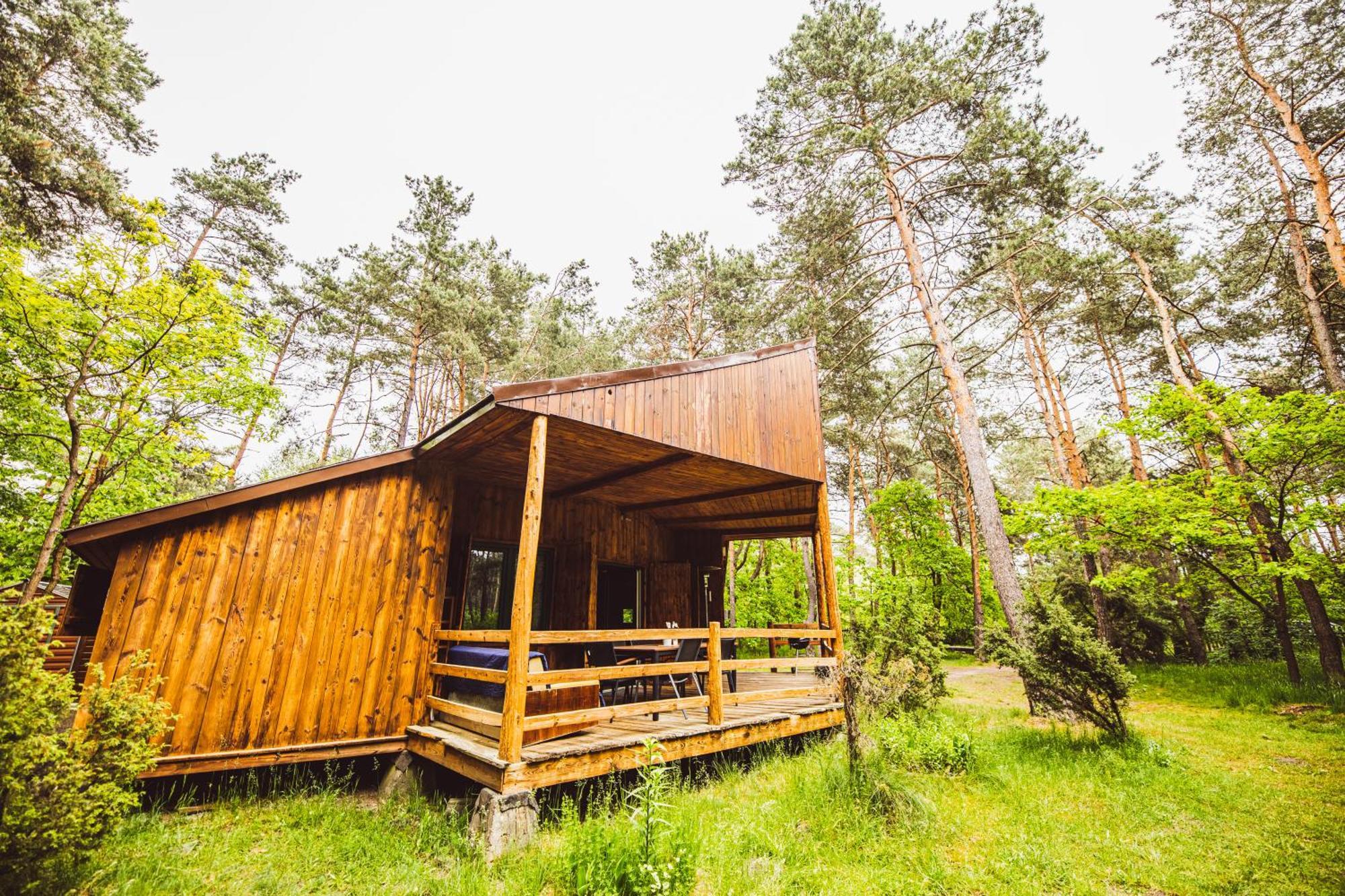 Cozy Nature Retreat With Patio Fireplace Garden Maciejowice Εξωτερικό φωτογραφία