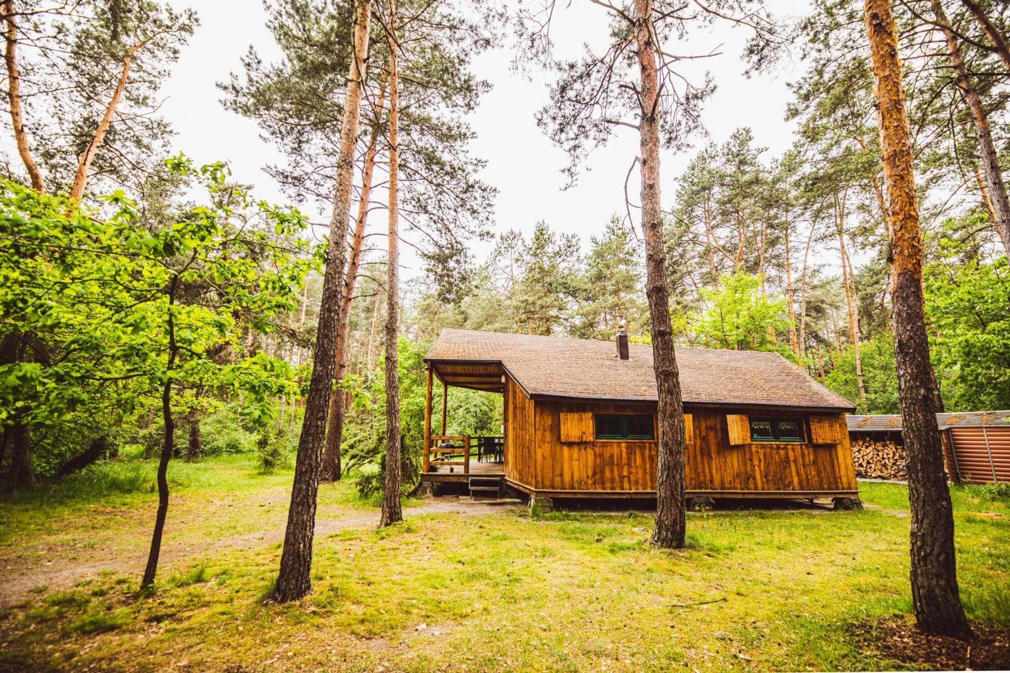 Cozy Nature Retreat With Patio Fireplace Garden Maciejowice Εξωτερικό φωτογραφία