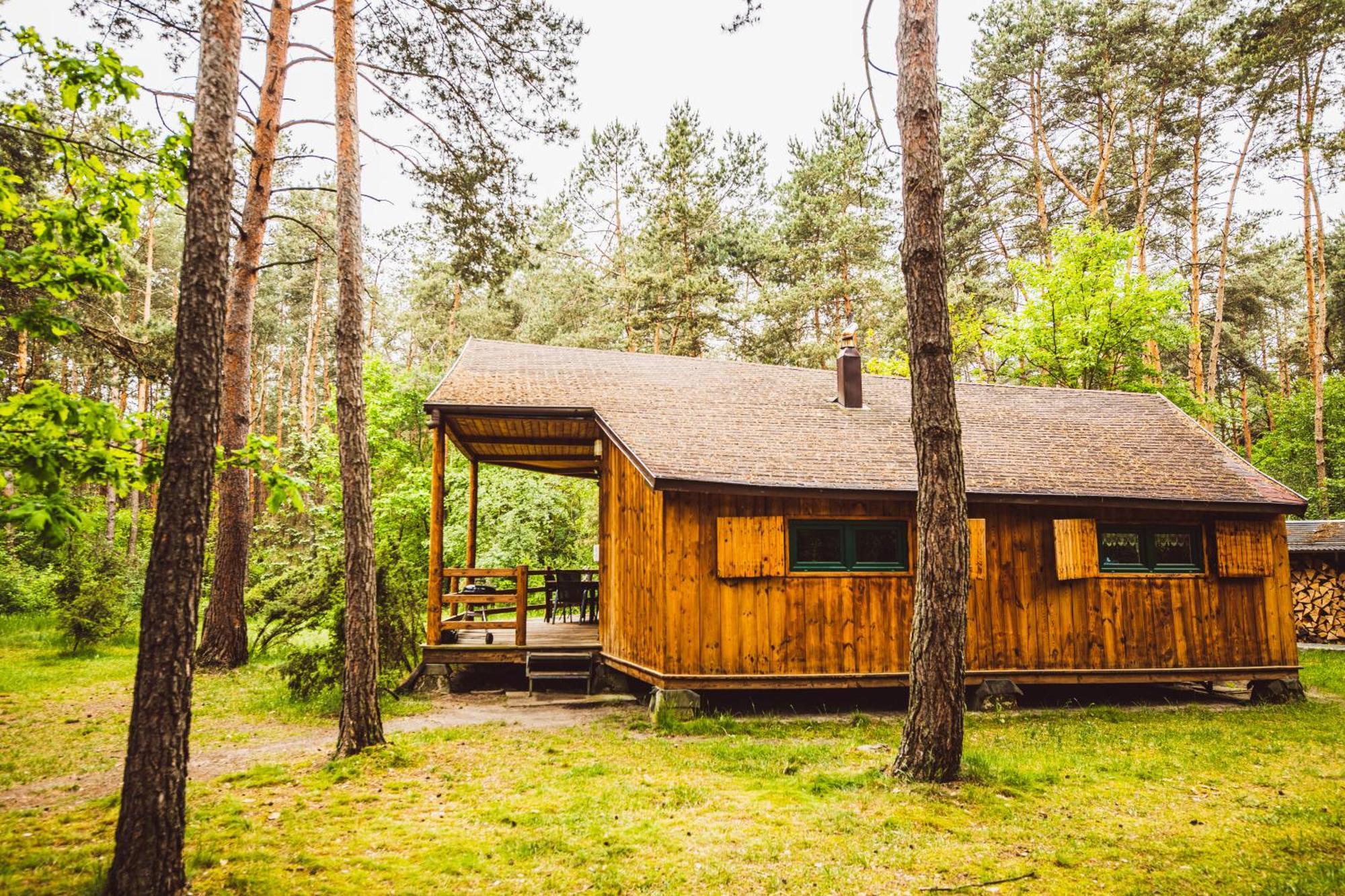 Cozy Nature Retreat With Patio Fireplace Garden Maciejowice Εξωτερικό φωτογραφία