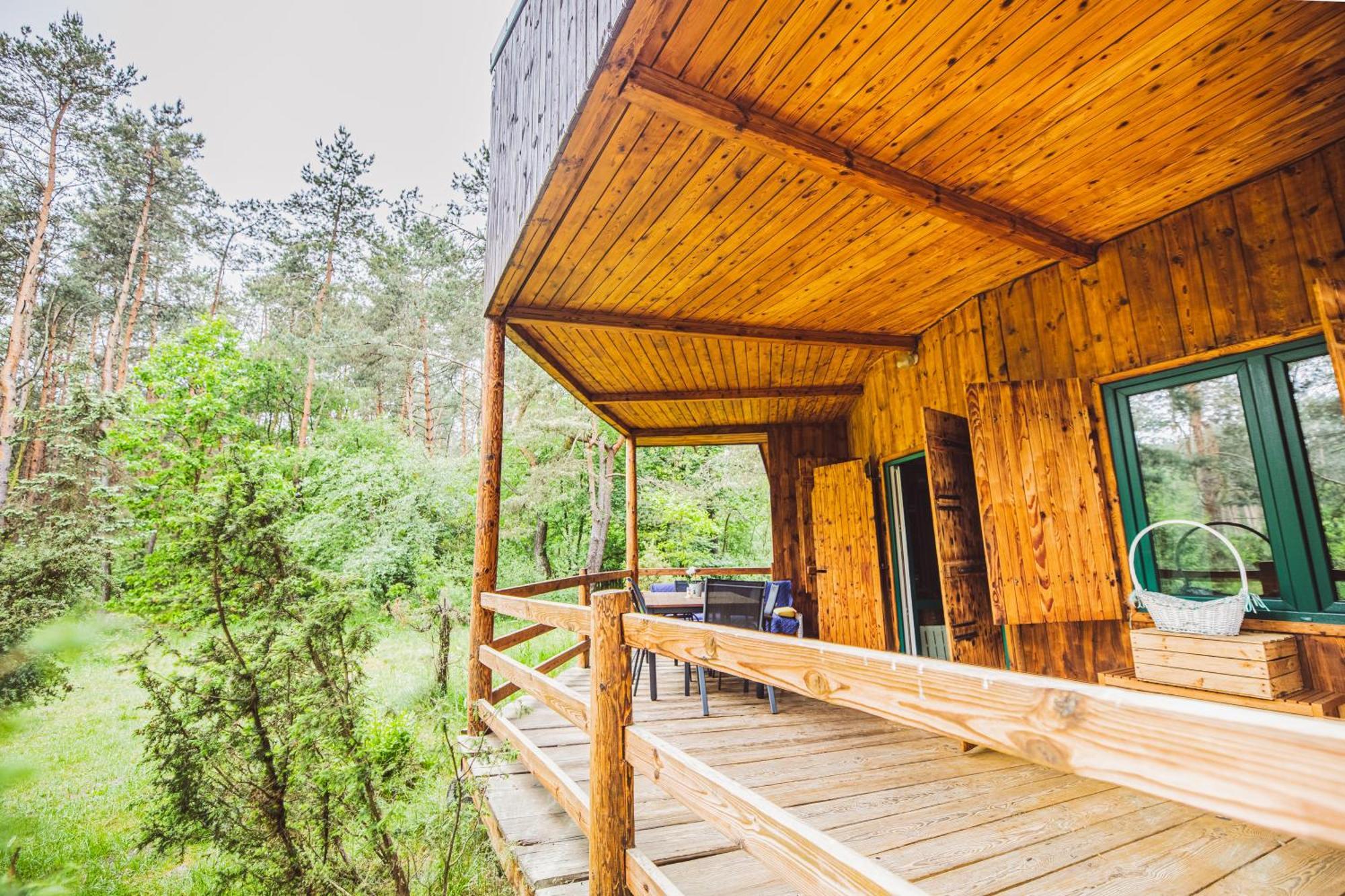 Cozy Nature Retreat With Patio Fireplace Garden Maciejowice Εξωτερικό φωτογραφία